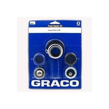 Ремкомплект уплотнений насоса Graco 249123